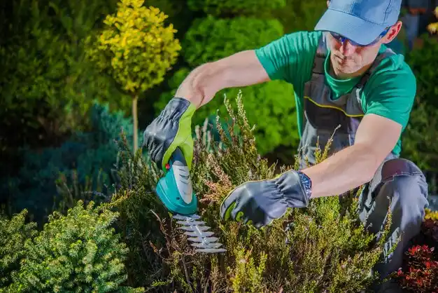 landscaping services Laurie